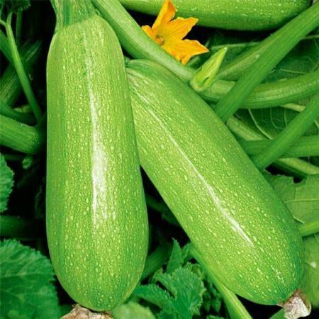 2023年6月网红吃瓜,盘点热门事件与幕后真相  第2张